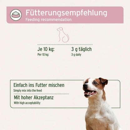 AniForte 4in1 Complete Dog für Hunde - Woofshack