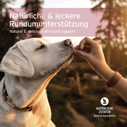 AniForte 4in1 - Snack für Hunde - Woofshack