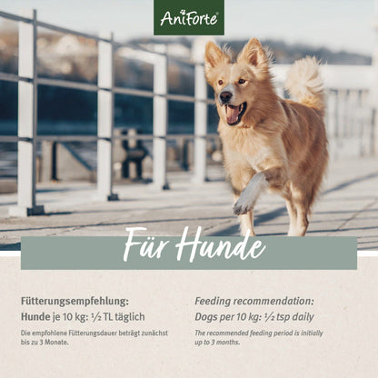 AniForte Arthro Omega Öl für Hunde - Woofshack