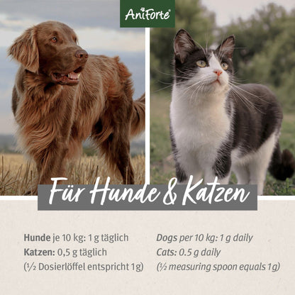 AniForte Bierhefe Pulver für Hunde - Woofshack