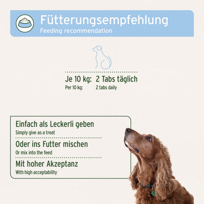 AniForte Bierhefe Tabs für Hunde - Woofshack