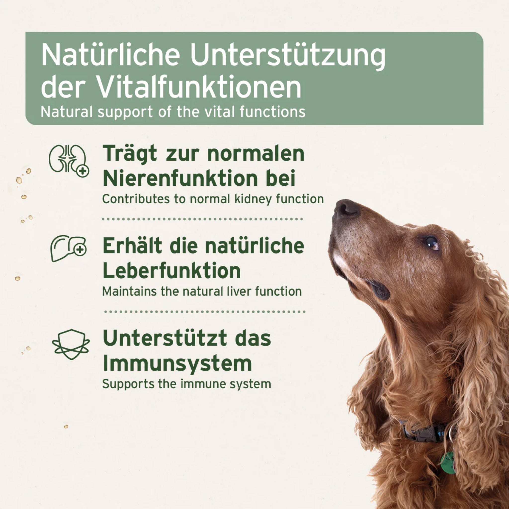 AniForte Bio Ägyptisches Schwarzkümmelöl für Hunde - Woofshack