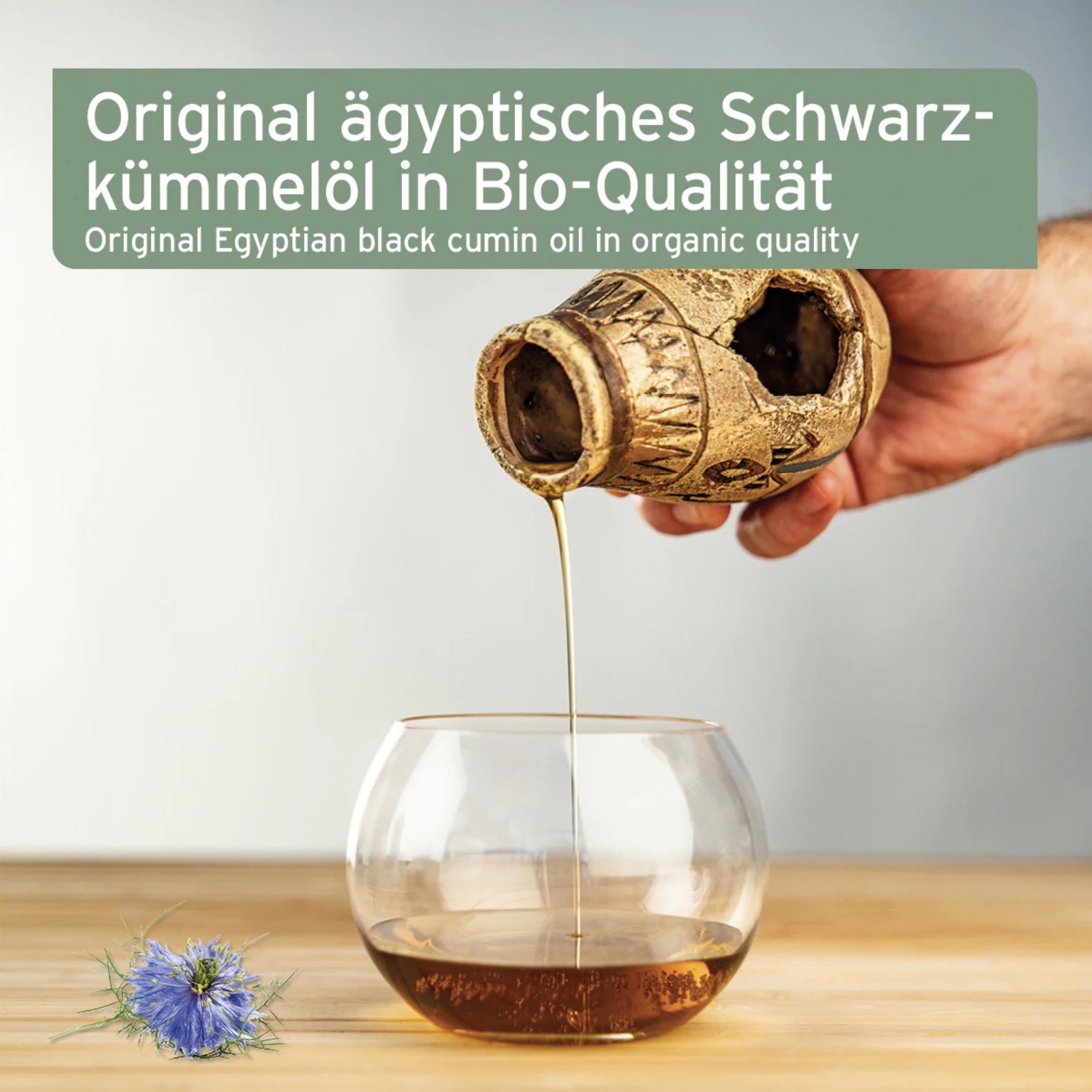 AniForte Bio Ägyptisches Schwarzkümmelöl für Hunde - Woofshack