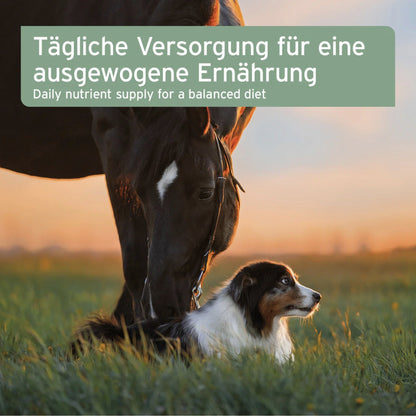 AniForte Bio Ägyptisches Schwarzkümmelöl für Hunde - Woofshack