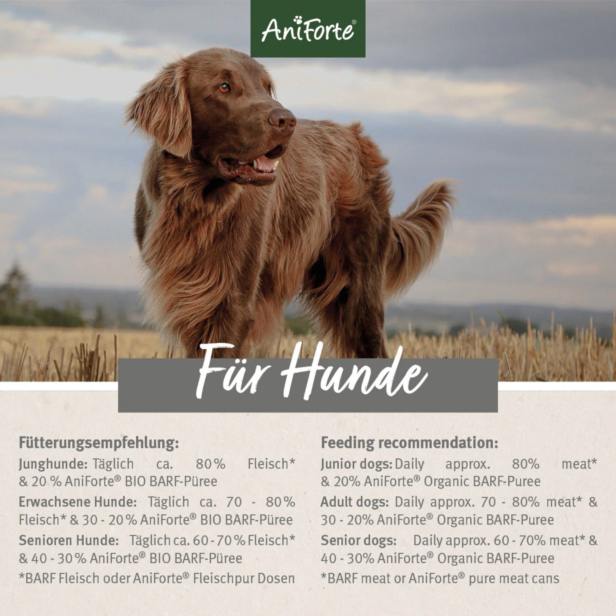 AniForte BIO BARF - Püree mit Fenchel &amp; Mango für Hunde - Woofshack