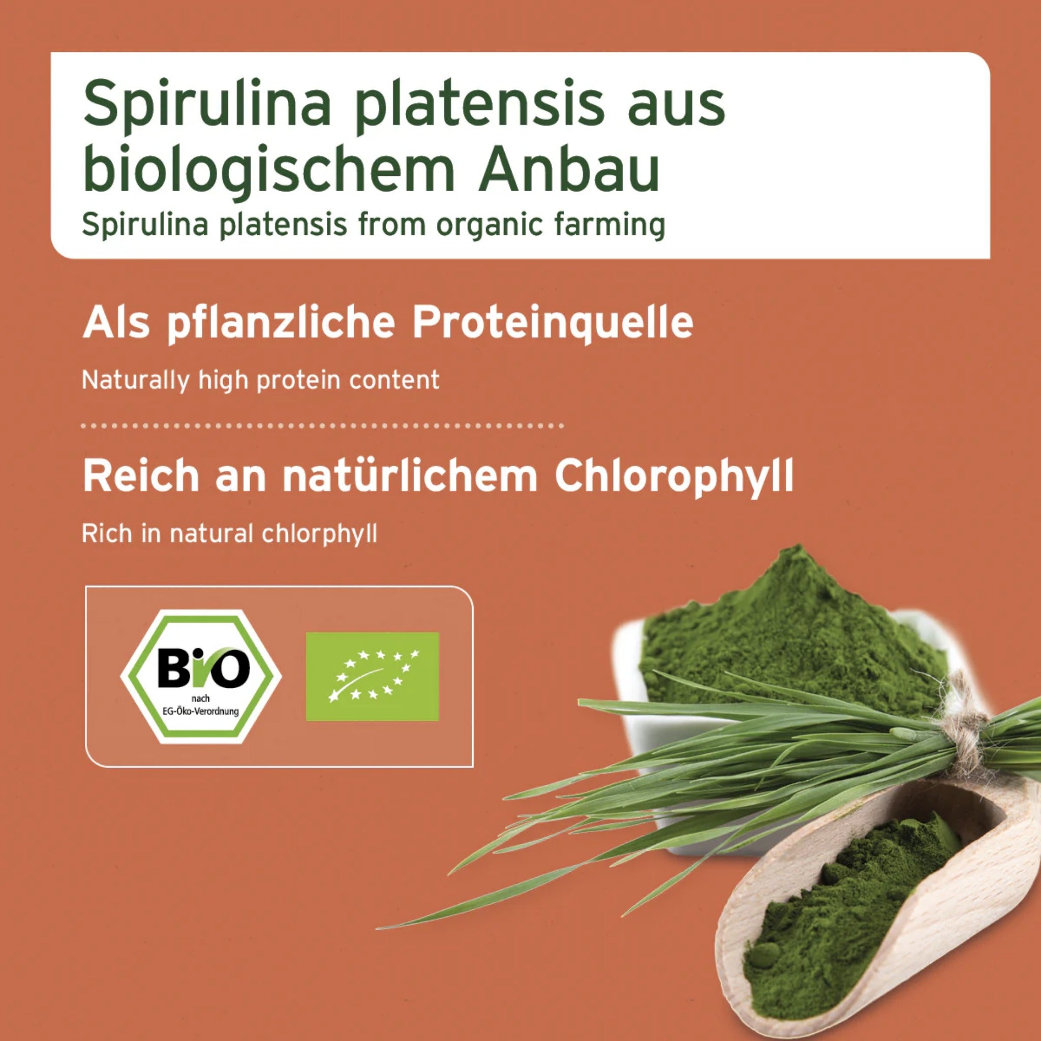 AniForte Bio Spirulina Pulver für Hunde - Woofshack