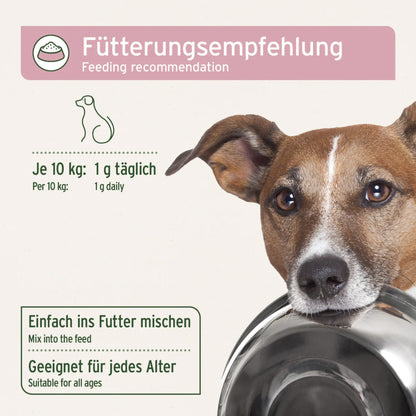 AniForte Blasen - Formel Pulver für Hunde - Woofshack