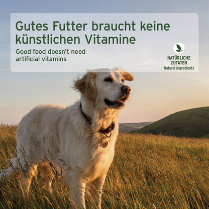 AniForte Country Beef Hunde Nassfutter - Woofshack