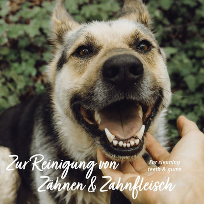 AniForte Denta Clean &amp; Care Fingerpads für Hunde - Woofshack