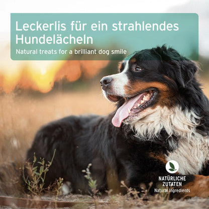 AniForte Denta - Snack für Hunde - Woofshack