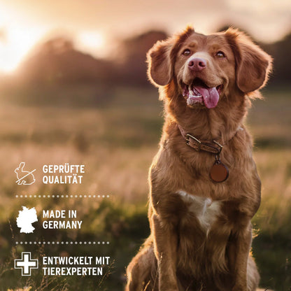 AniForte Dentalspray für Hunde - Woofshack