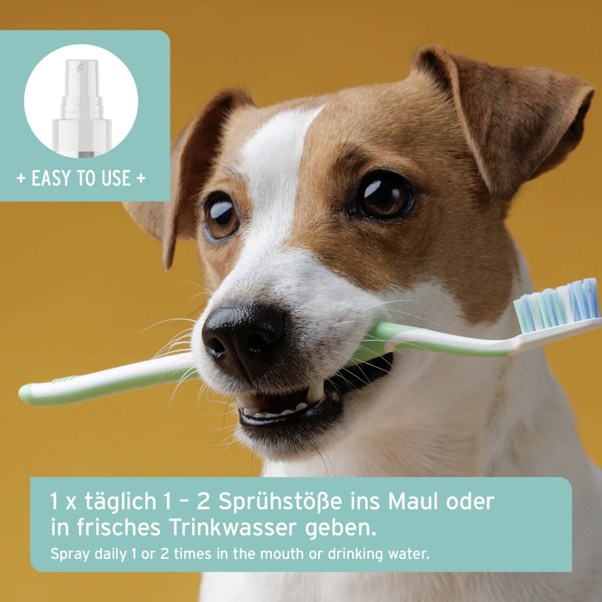 AniForte Dentalspray für Hunde - Woofshack