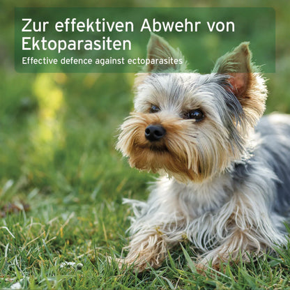 AniForte Ectoprotex Spot - on für Hunde - Woofshack