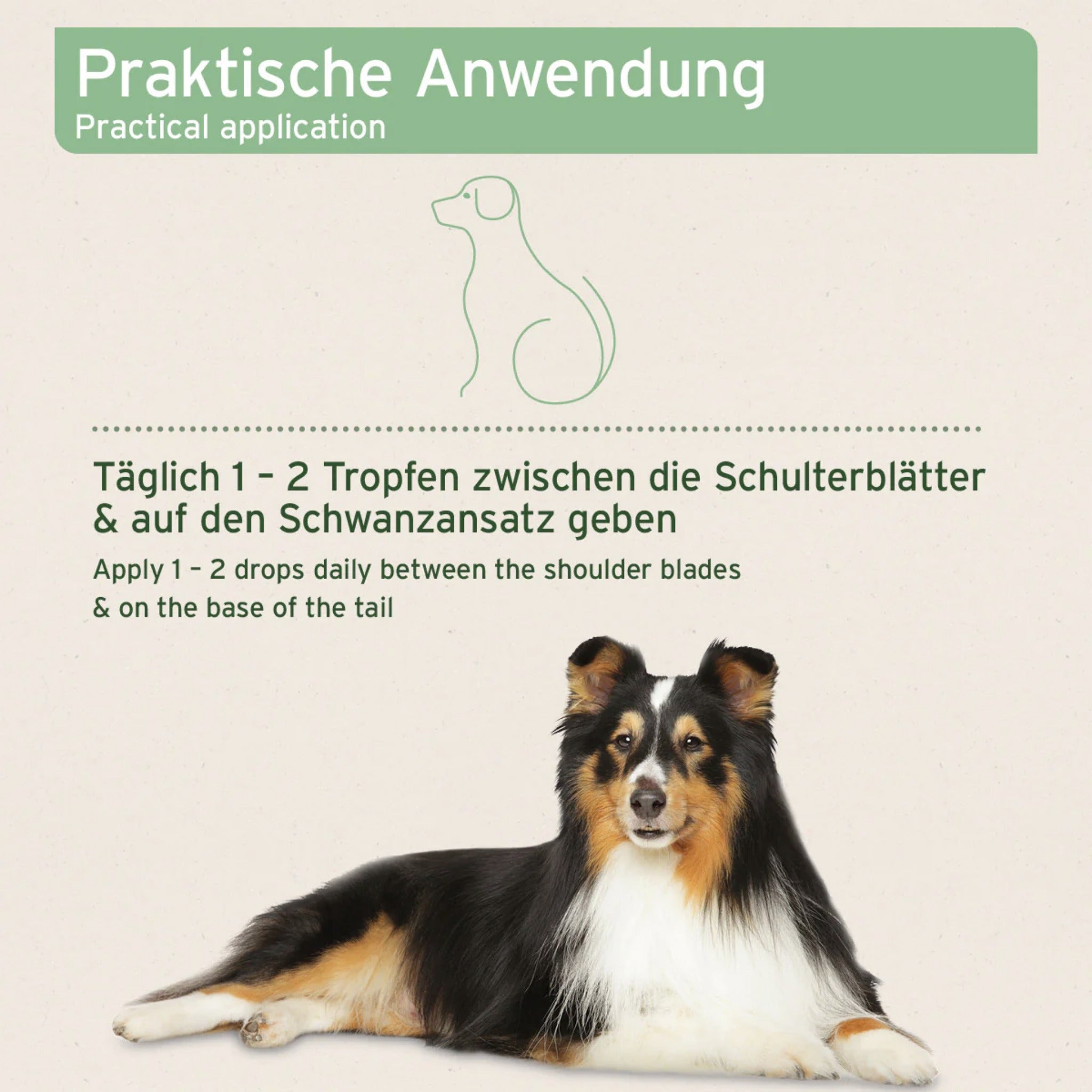 AniForte Ectoprotex Spot - on für Hunde - Woofshack