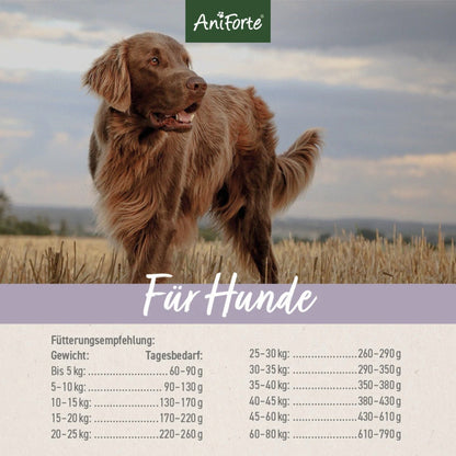 AniForte Farmslamb Lamm Hunde Trockenfutter - Woofshack