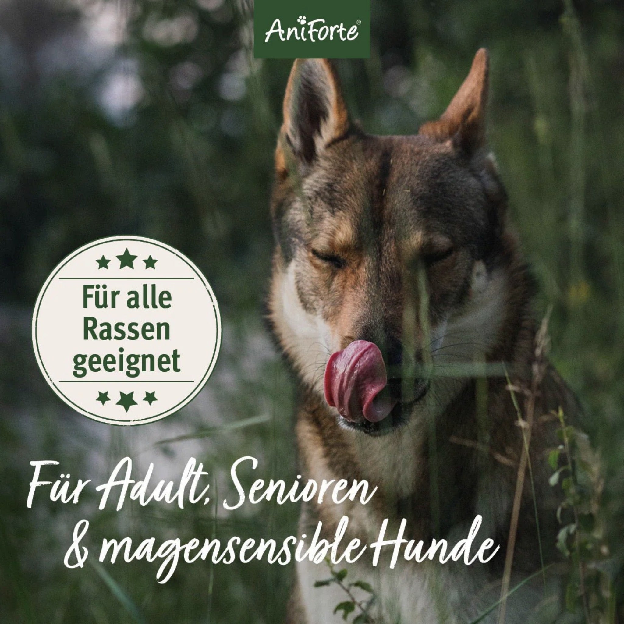 AniForte Farmslamb Lamm Hunde Trockenfutter - Woofshack