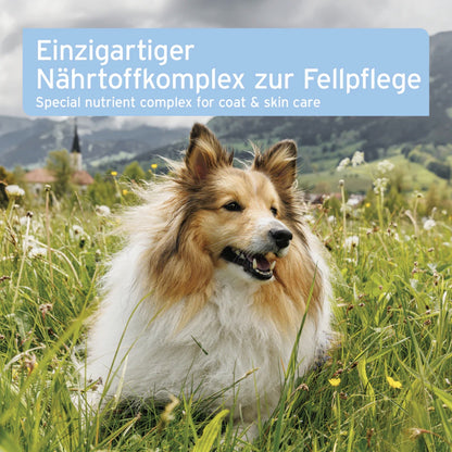 AniForte Fell &amp; Haut Tabletten für Hunde - Woofshack