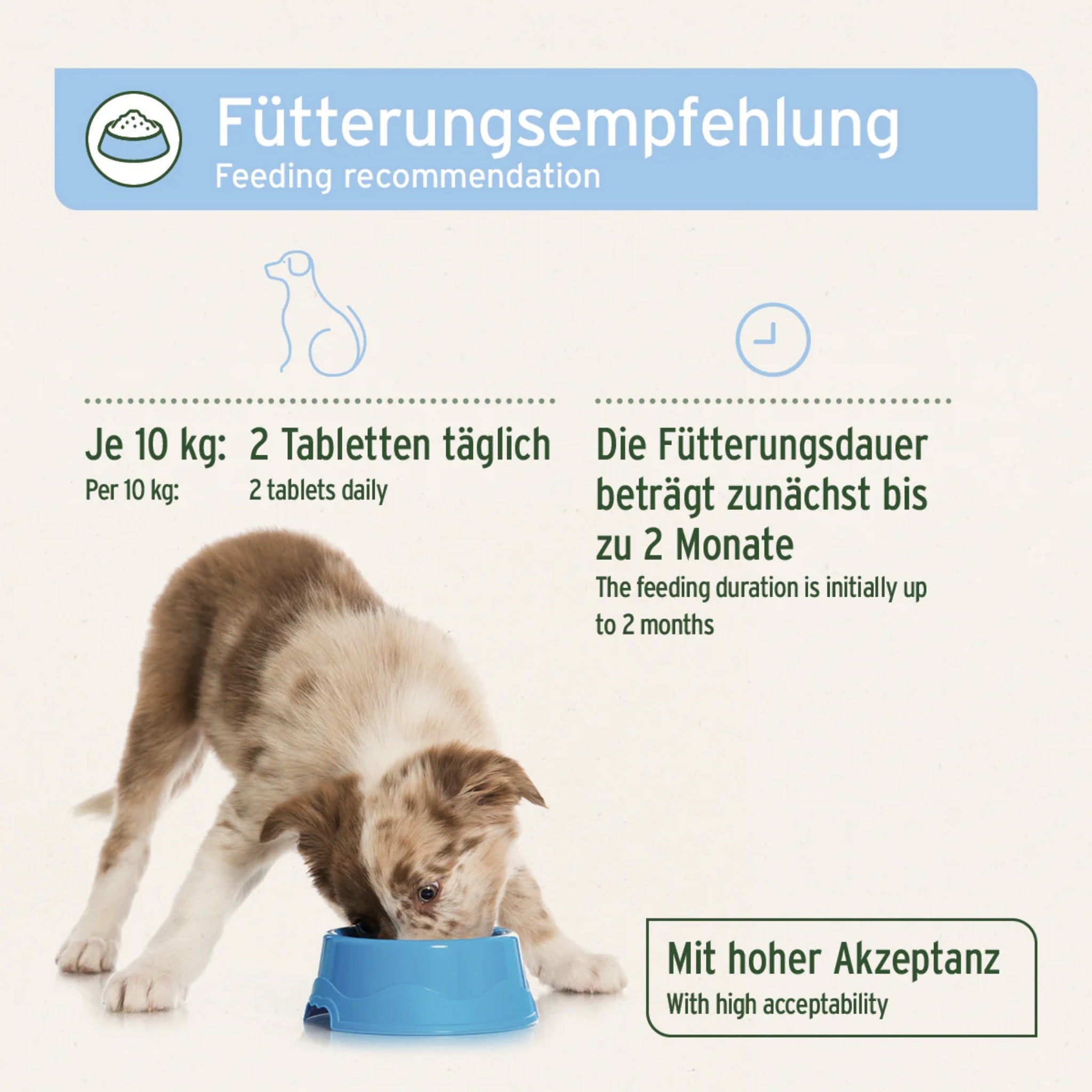 AniForte Fell &amp; Haut Tabletten für Hunde - Woofshack