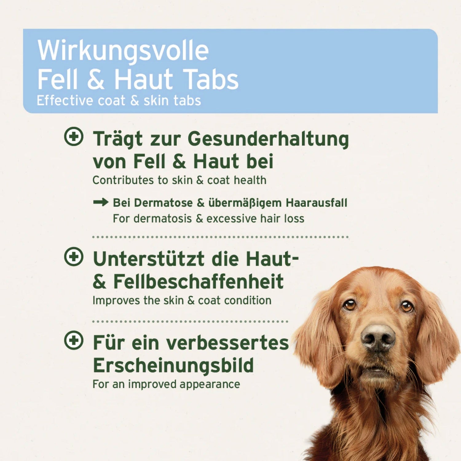 AniForte Fell &amp; Haut Tabletten für Hunde - Woofshack