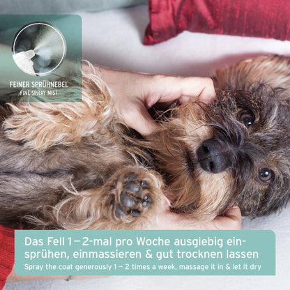 AniForte Fellgeruch - STOP für Hunde - Woofshack