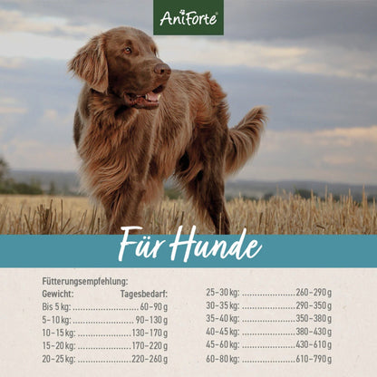 AniForte FjordSalmon Hunde Trockenfutter - Woofshack