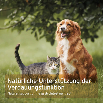 AniForte Flohsamenschalen für Hunde - Woofshack