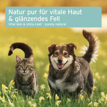 AniForte Futteröl für Hunde - Woofshack