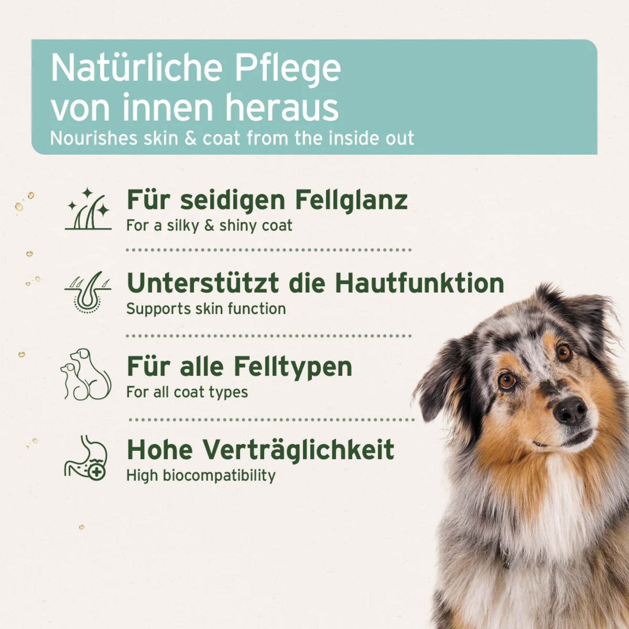 AniForte Futteröl für Hunde - Woofshack