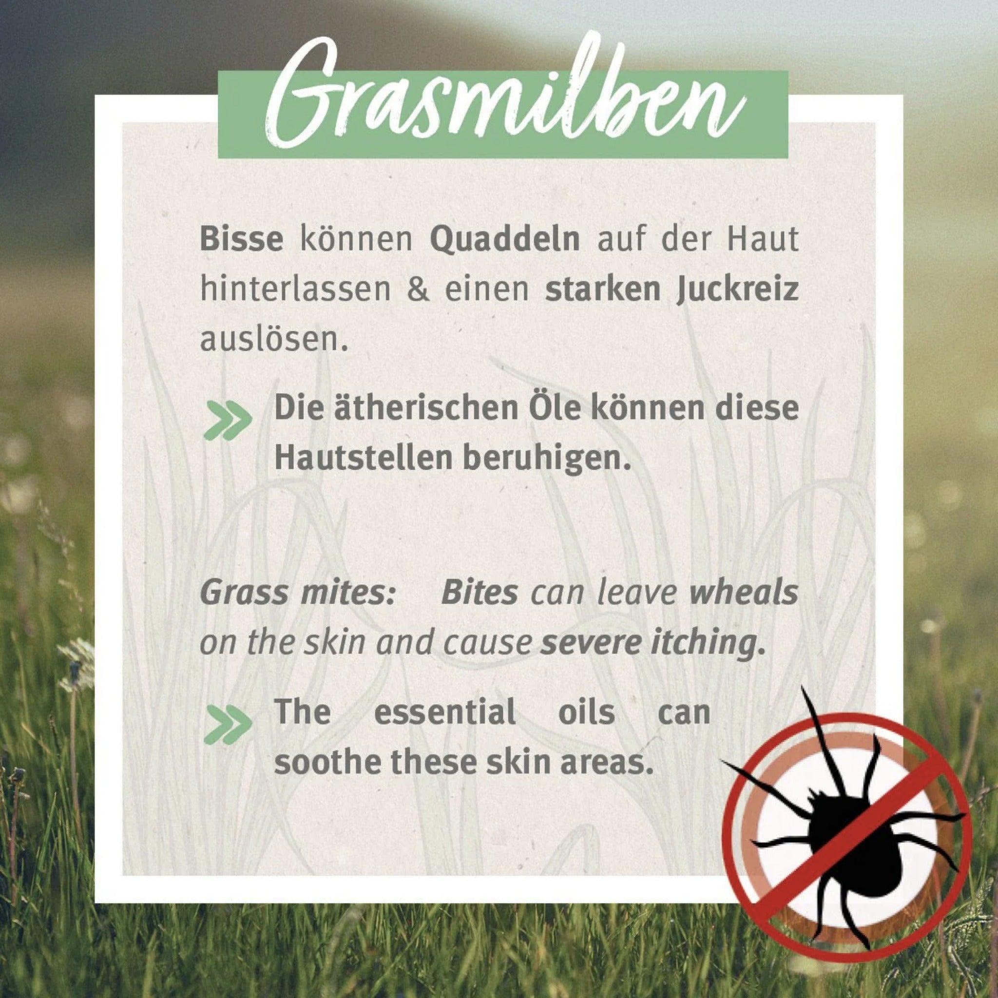 AniForte Grasmilben - EX Spray für Hunde - Woofshack