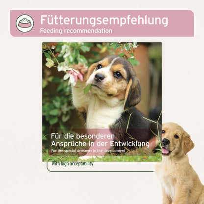 AniForte Junior Active für Hunde - Woofshack