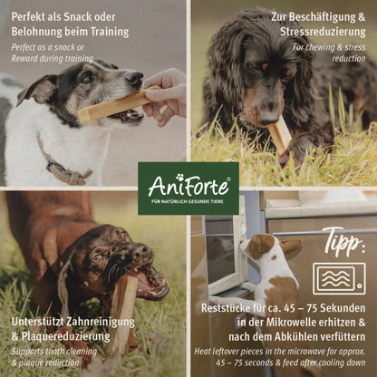 AniForte Käse Kauknochen für Hunde - Woofshack