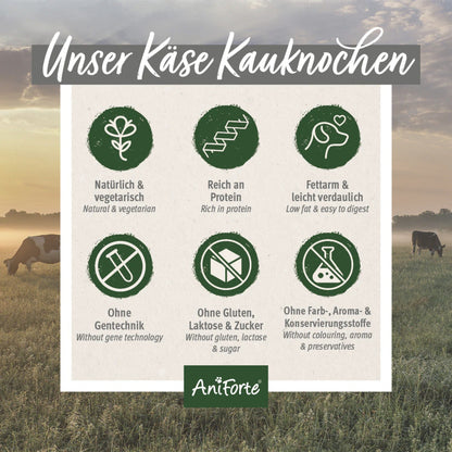 AniForte Käse Kauknochen für Hunde - Woofshack