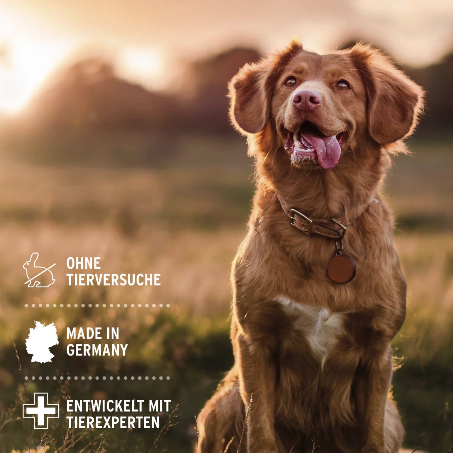 AniForte Kokos Conditioner für Hunde - Woofshack