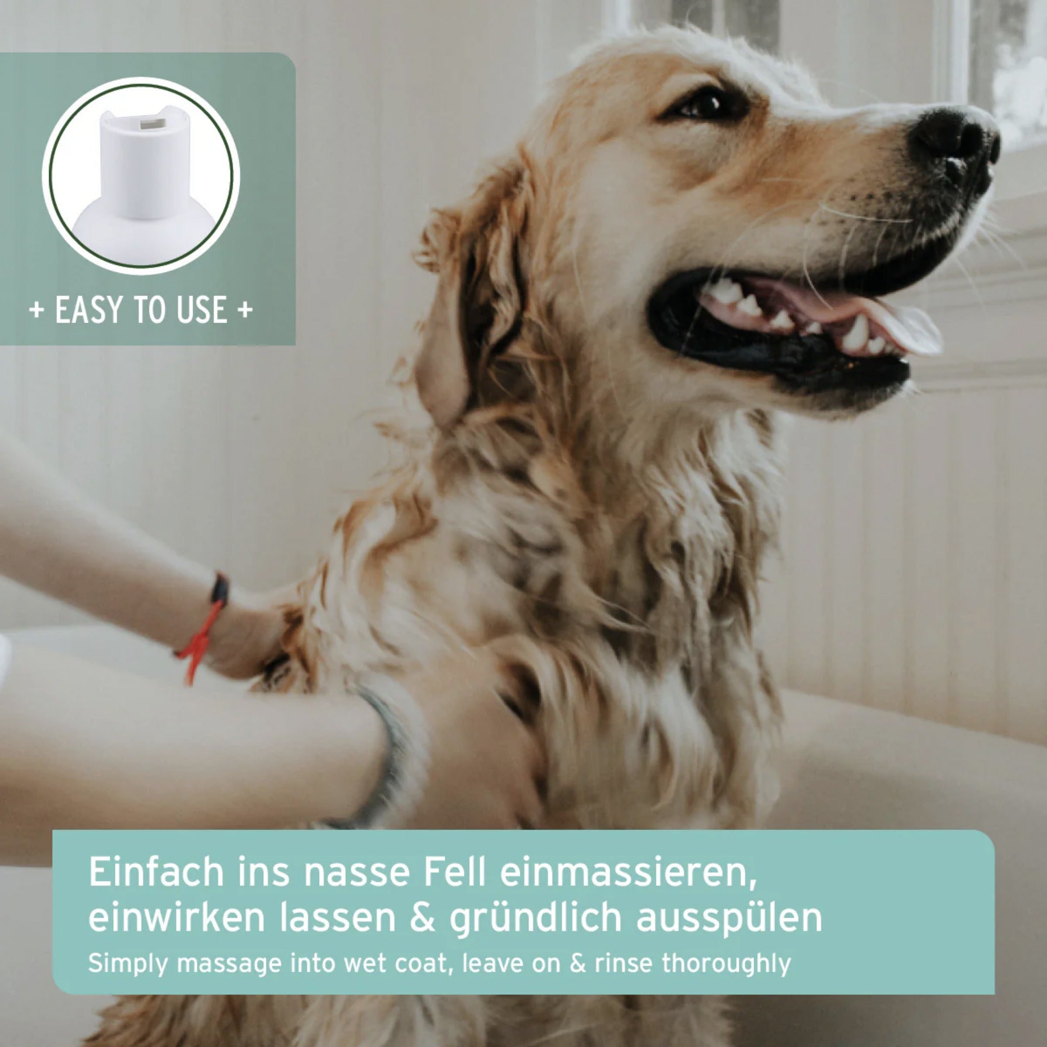 AniForte Kokos Shampoo für Hunde - Woofshack