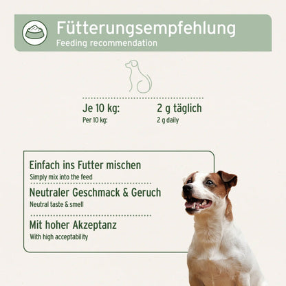 AniForte Kollagen Pulver für Hunde - Woofshack