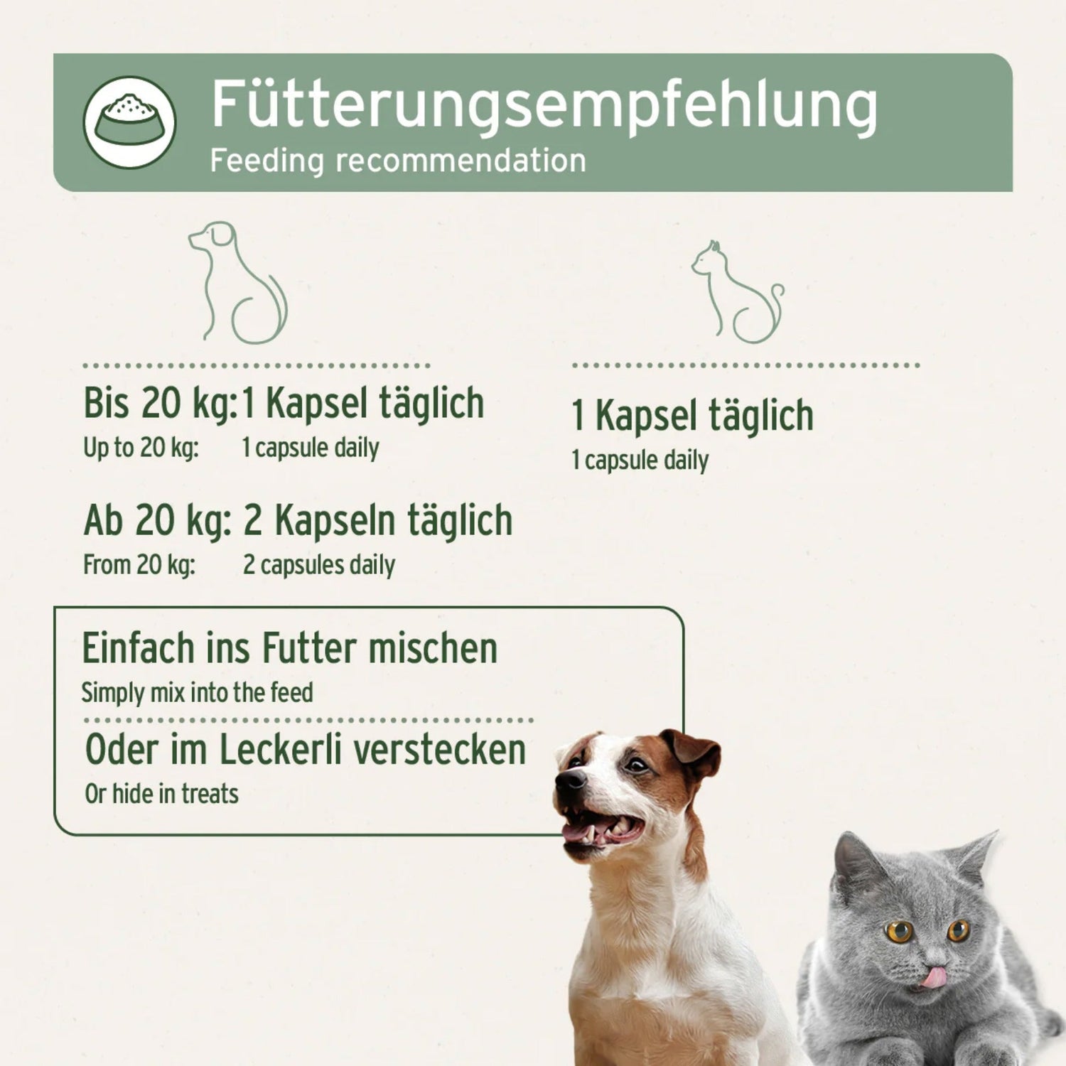 AniForte Lachsöl Kapseln für Hunde - Woofshack