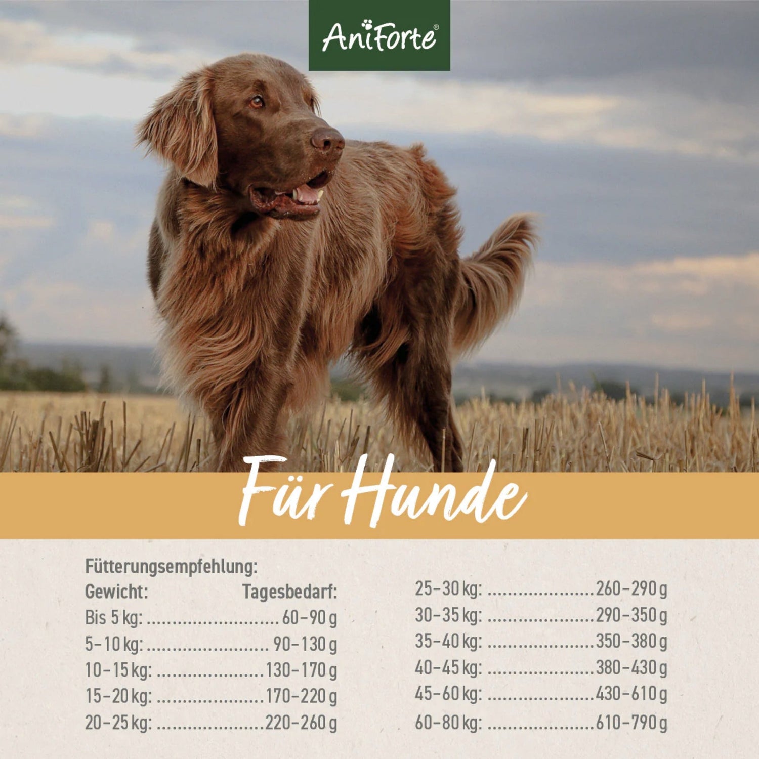 AniForte LandChicken Hunde Trockenfutter - Woofshack