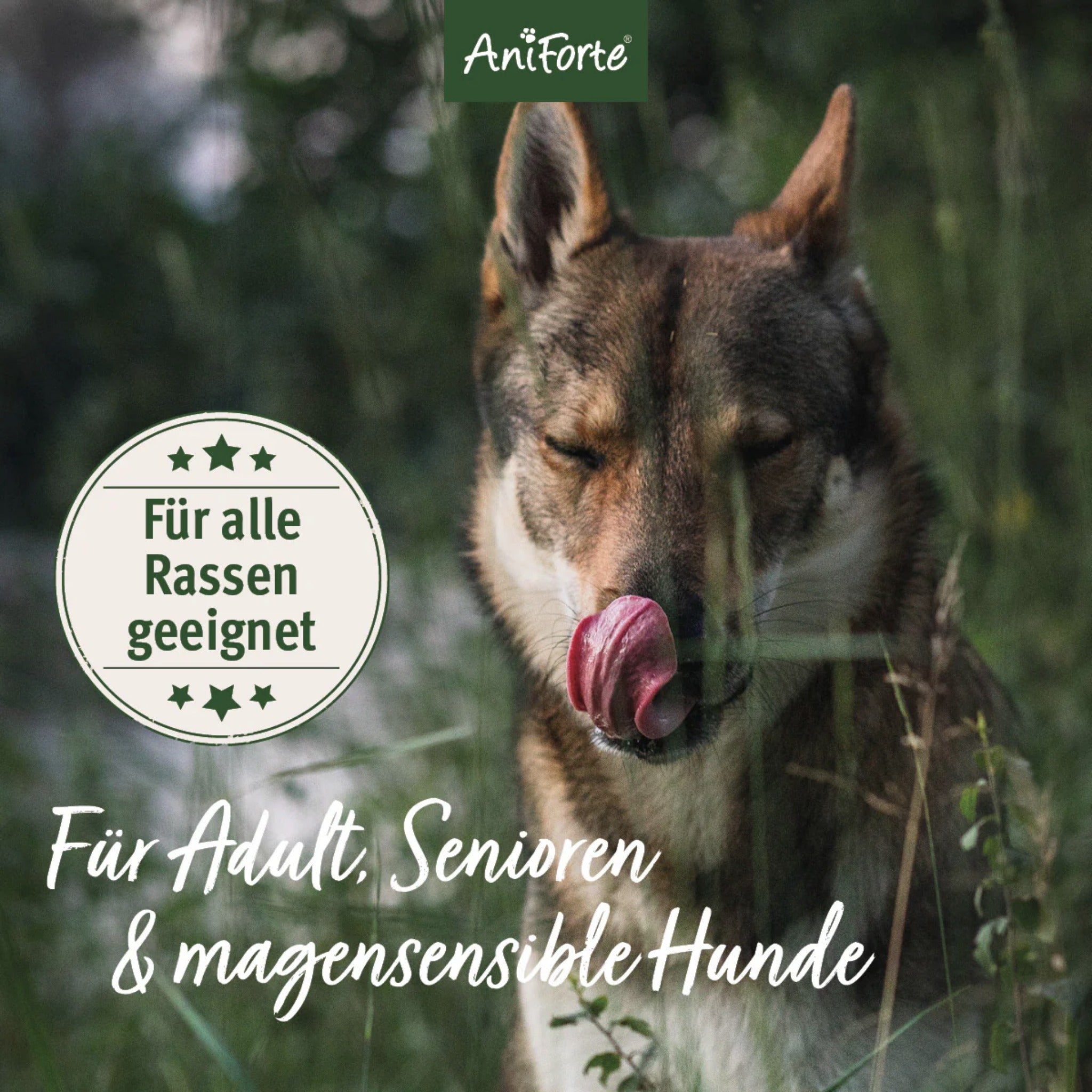 AniForte LandChicken Hunde Trockenfutter - Woofshack