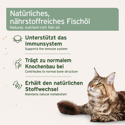 AniForte Lebertran für Hunde - Woofshack