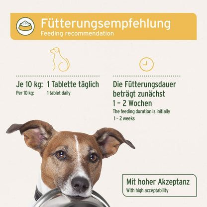 AniForte Magen &amp; Darm Tabletten für Hunde - Woofshack