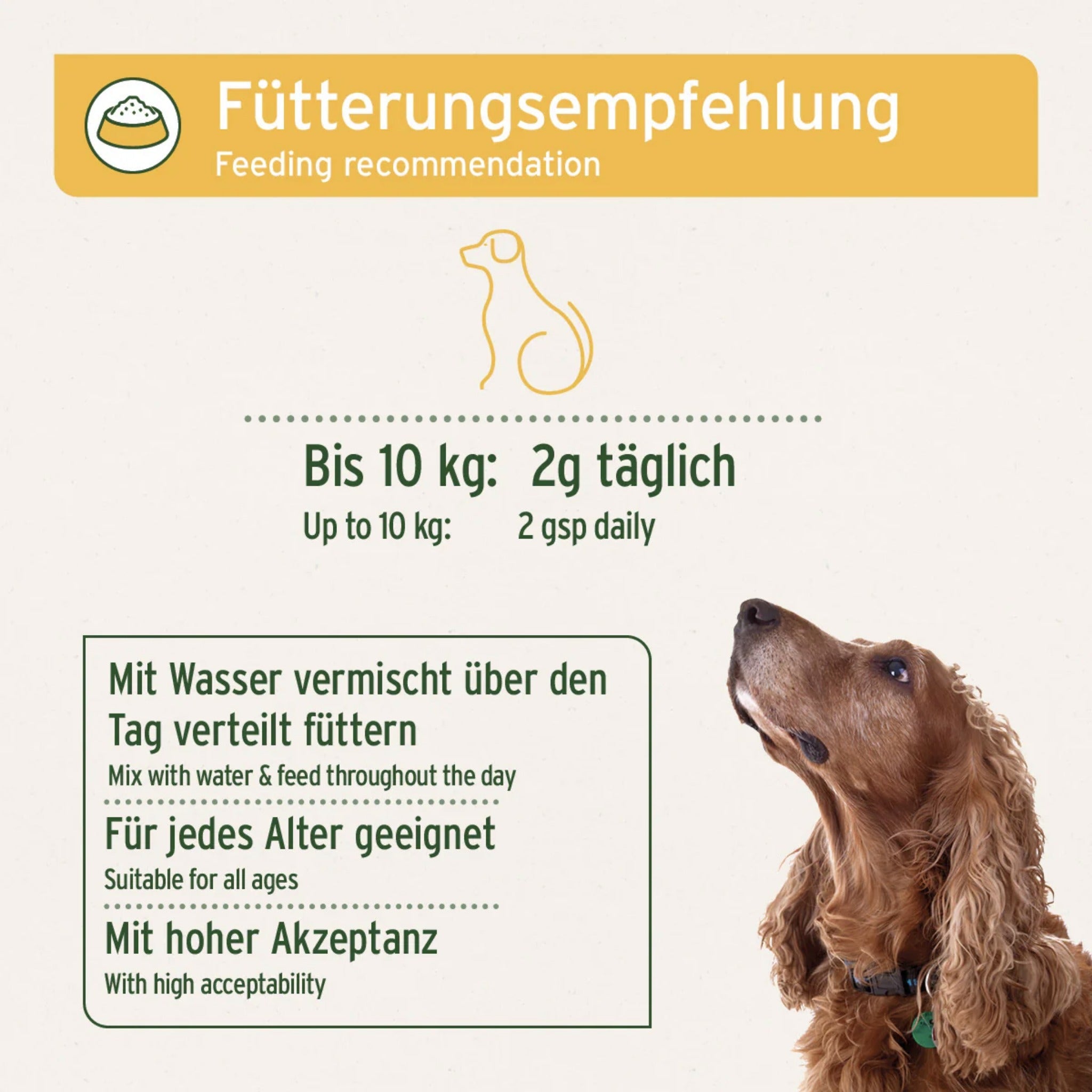 AniForte MagenSanft für Hunde - Woofshack