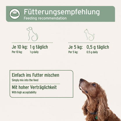 AniForte MSM Pulver für Hunde - Woofshack