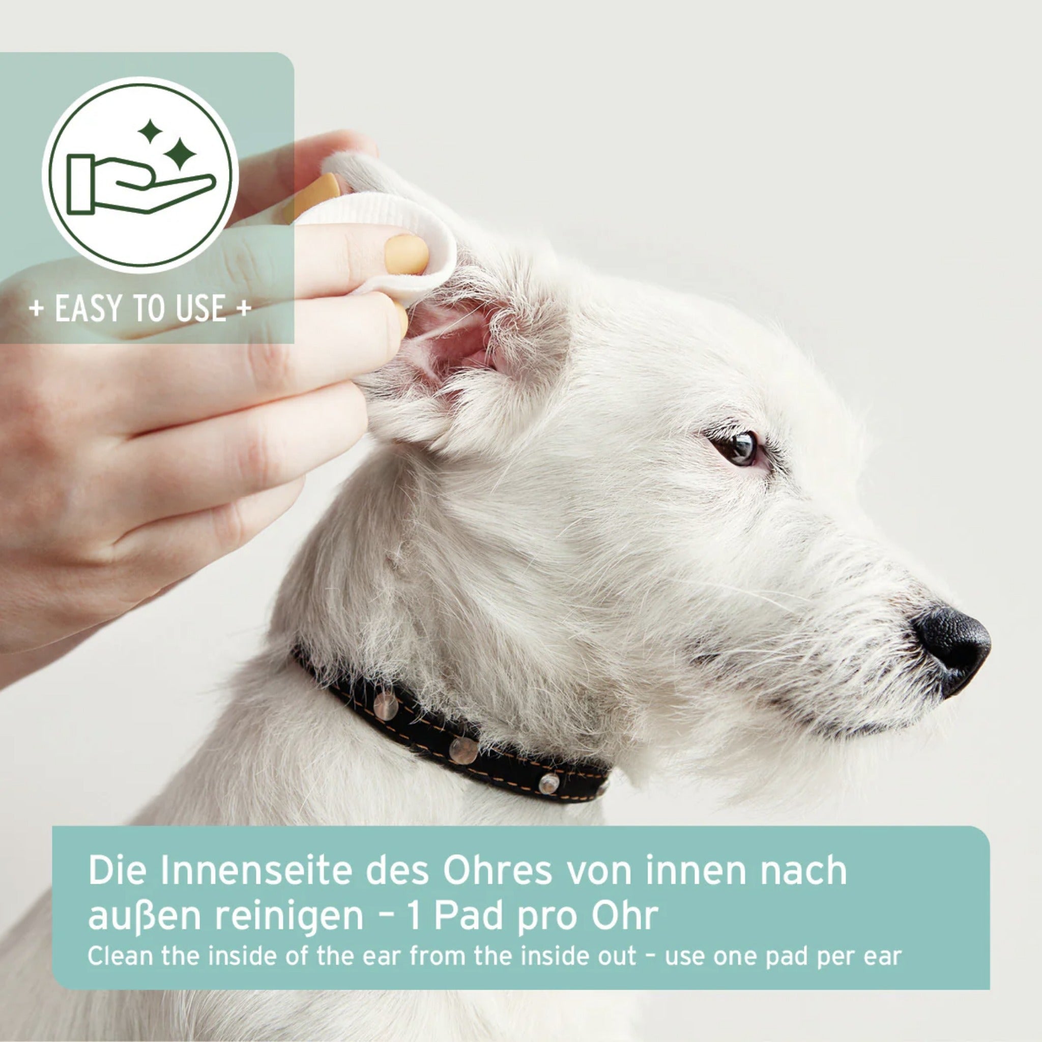 AniForte Ohren - Reinigungspads für Hunde - Woofshack