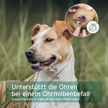 AniForte Ohrmilbenöl für Hunde - Woofshack