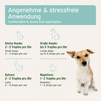 AniForte Ohrmilbenöl für Hunde - Woofshack