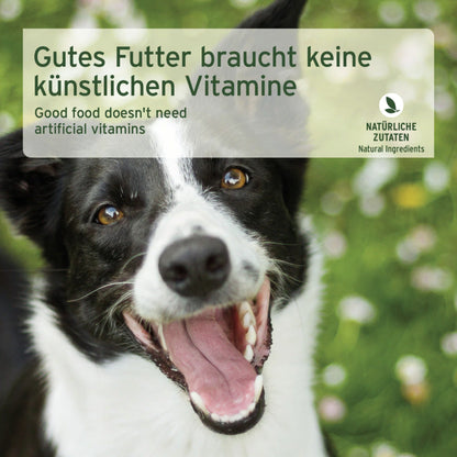 AniForte Pferd Pur Hunde Nassfutter - Woofshack