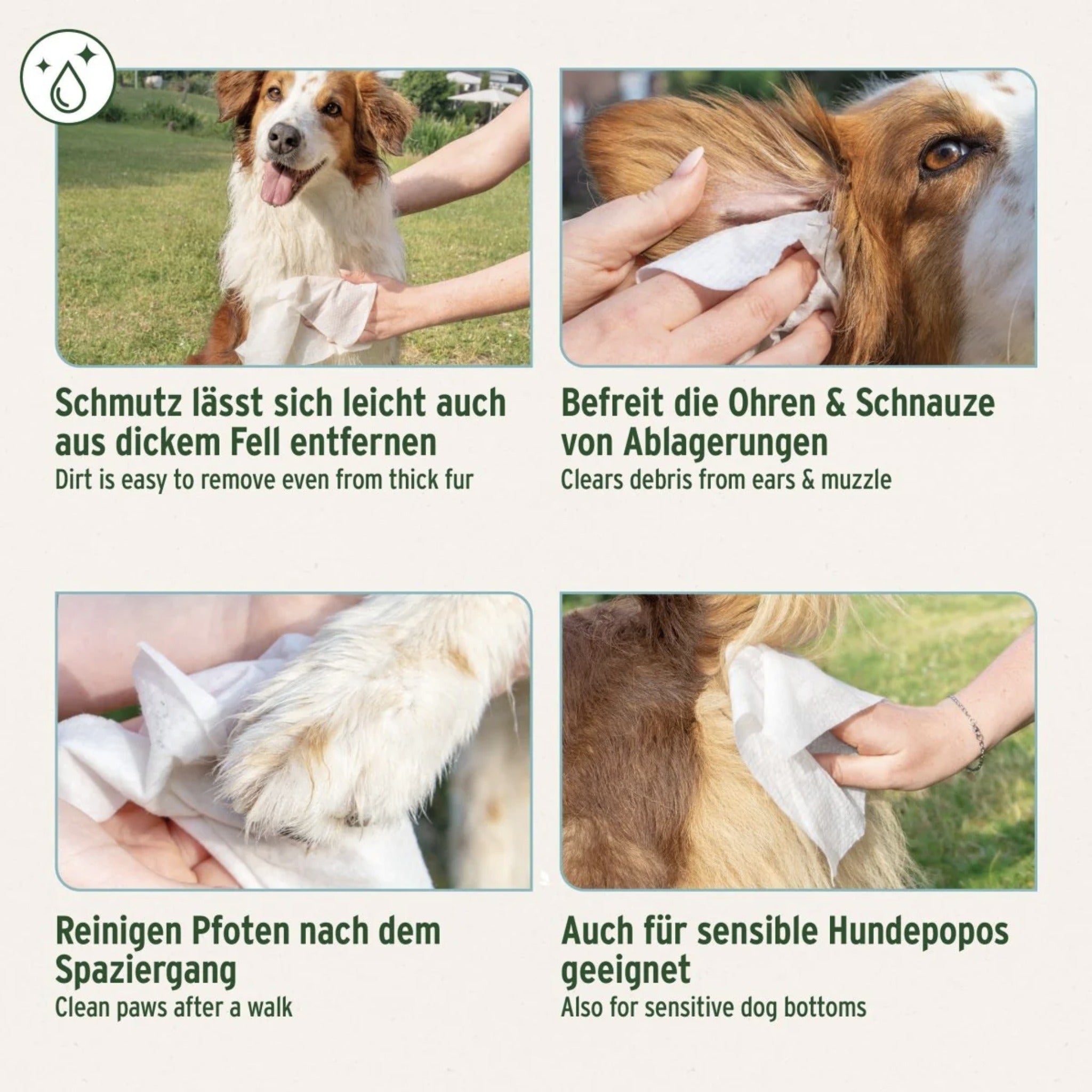 AniForte Pflegetücher für Hunde - Woofshack