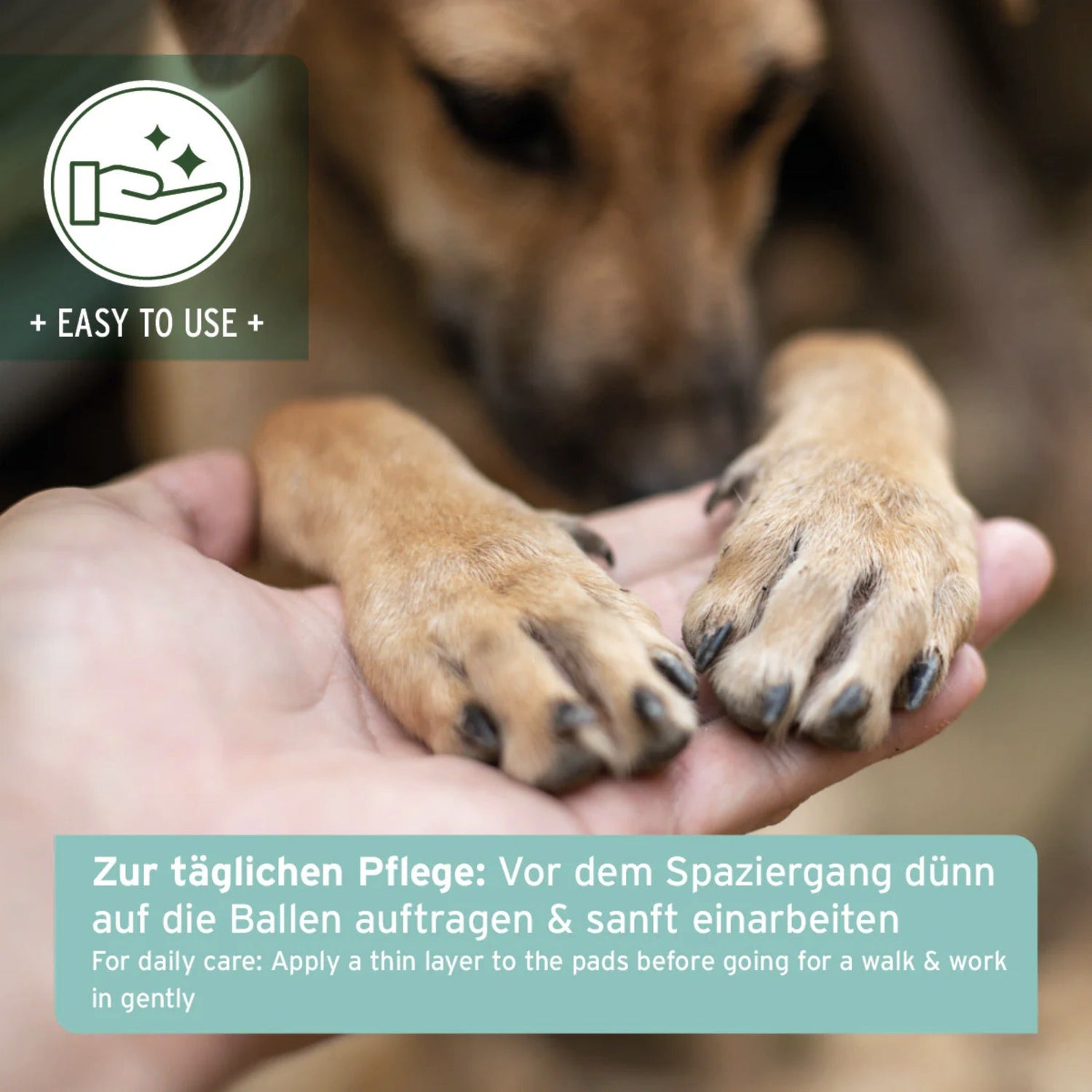 AniForte Pfotenschutz Balsam für Hunde - Woofshack