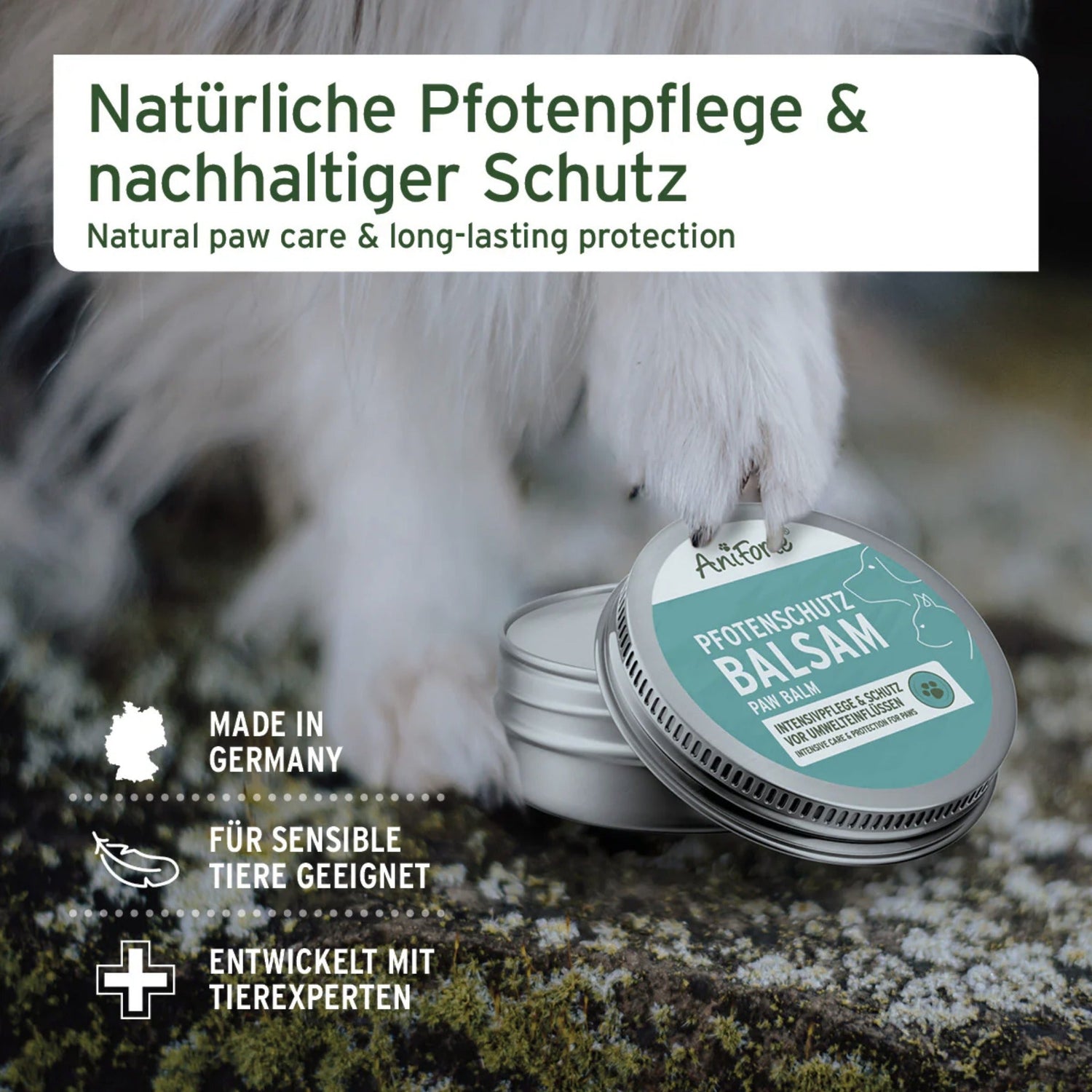 AniForte Pfotenschutz Balsam für Hunde - Woofshack