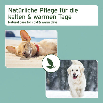 AniForte Pfotenschutz Balsam für Hunde - Woofshack